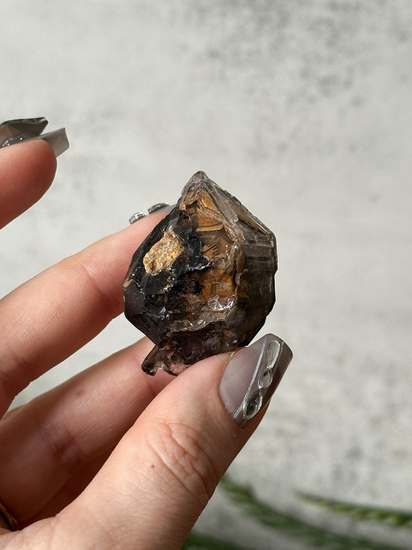 smokey elestial window quartz