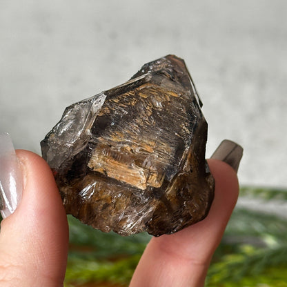 Golden Smokey Elestial Window Quartz