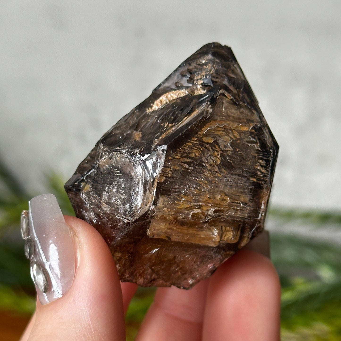 golden smokey elestial window quartz