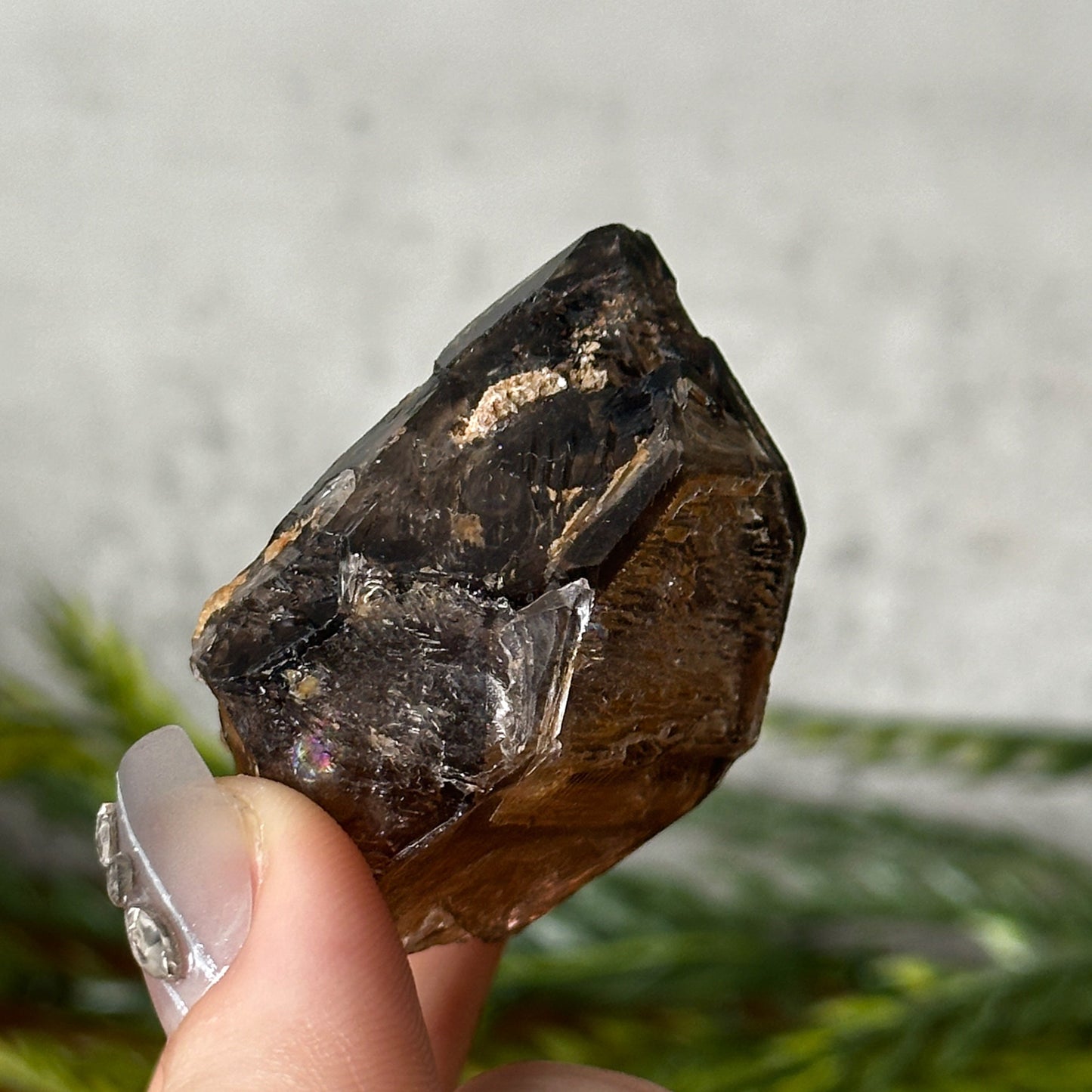 golden smokey elestial window quartz