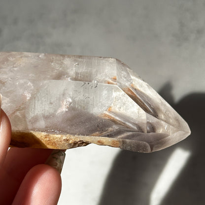 Light & Dark Angel Amphibole Phantom Quartz