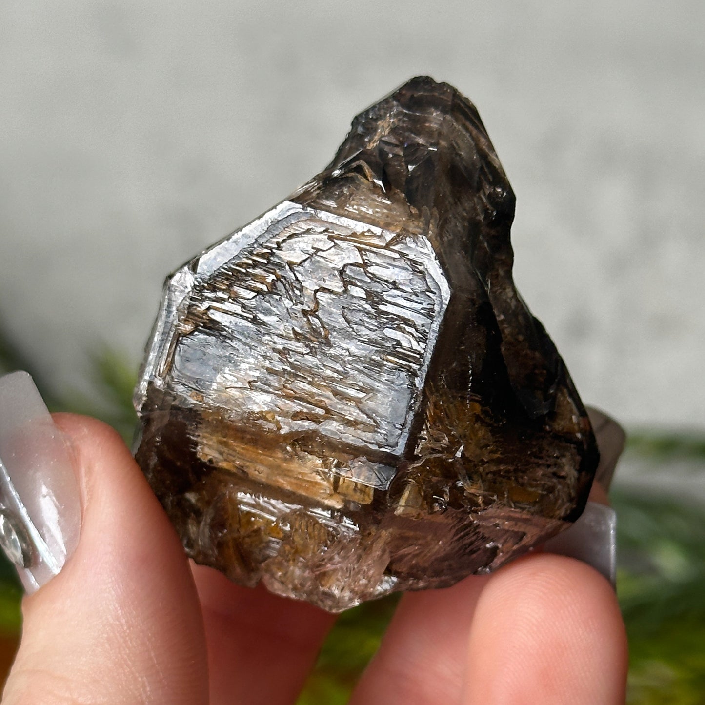golden smokey elestial window quartz