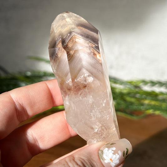 Light & Dark Angel Amphibole Phantom Quartz