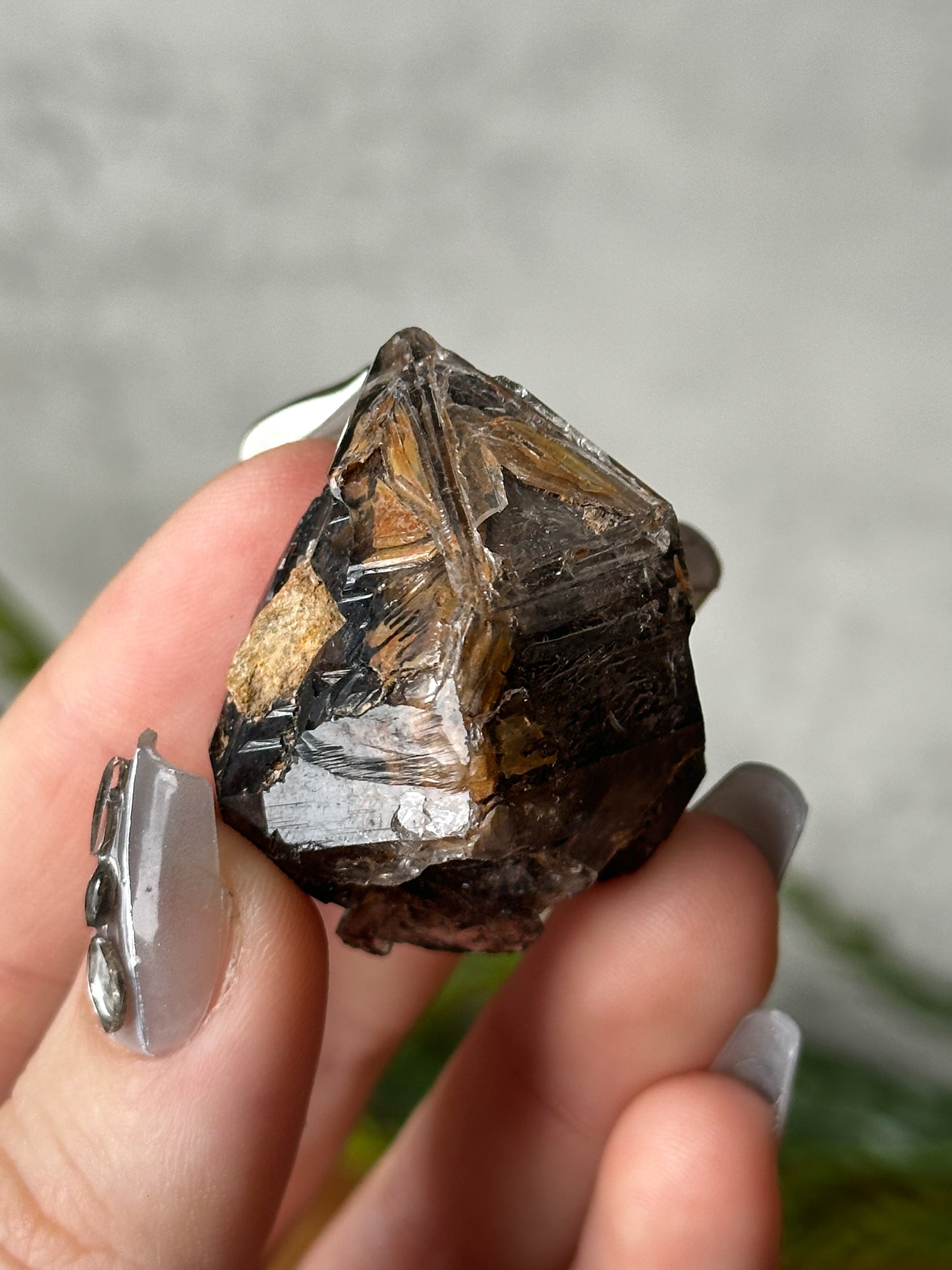 smokey elestial window quartz