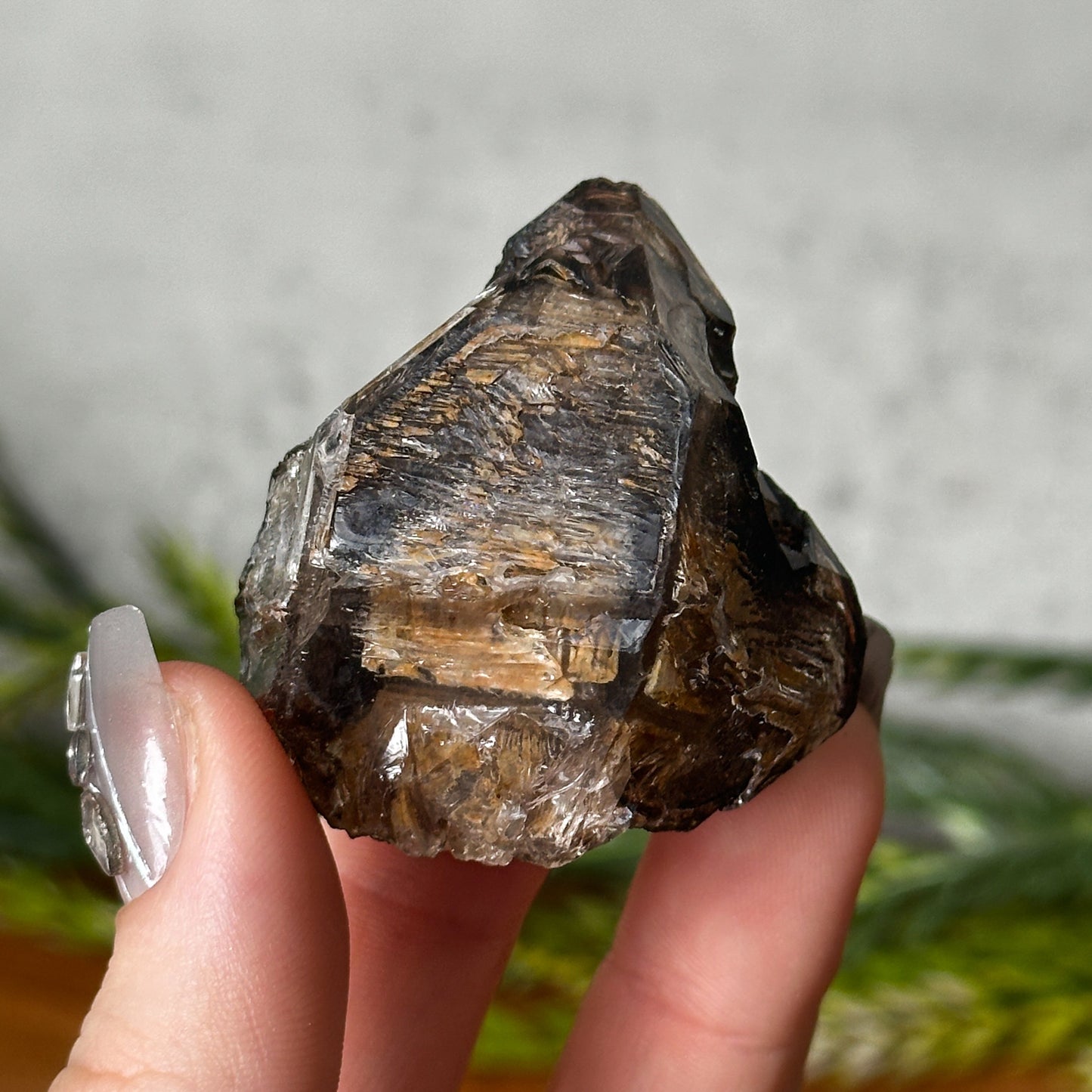 golden smokey elestial window quartz