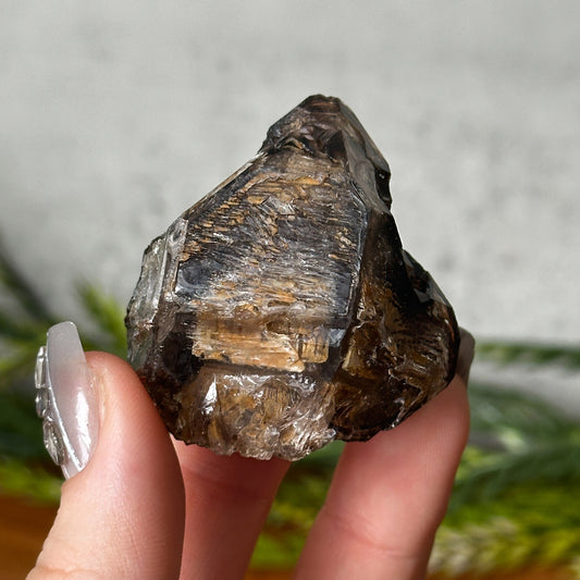 Golden Smokey Elestial Window Quartz