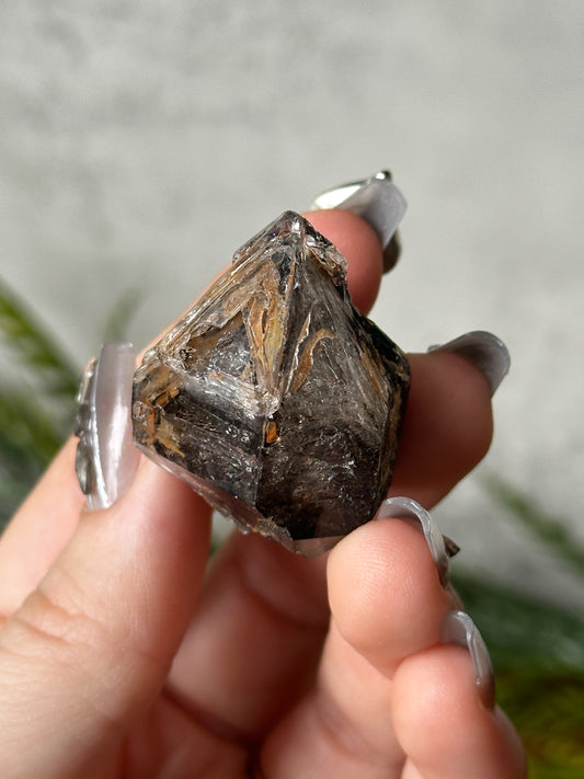 Smokey Elestial Window Quartz