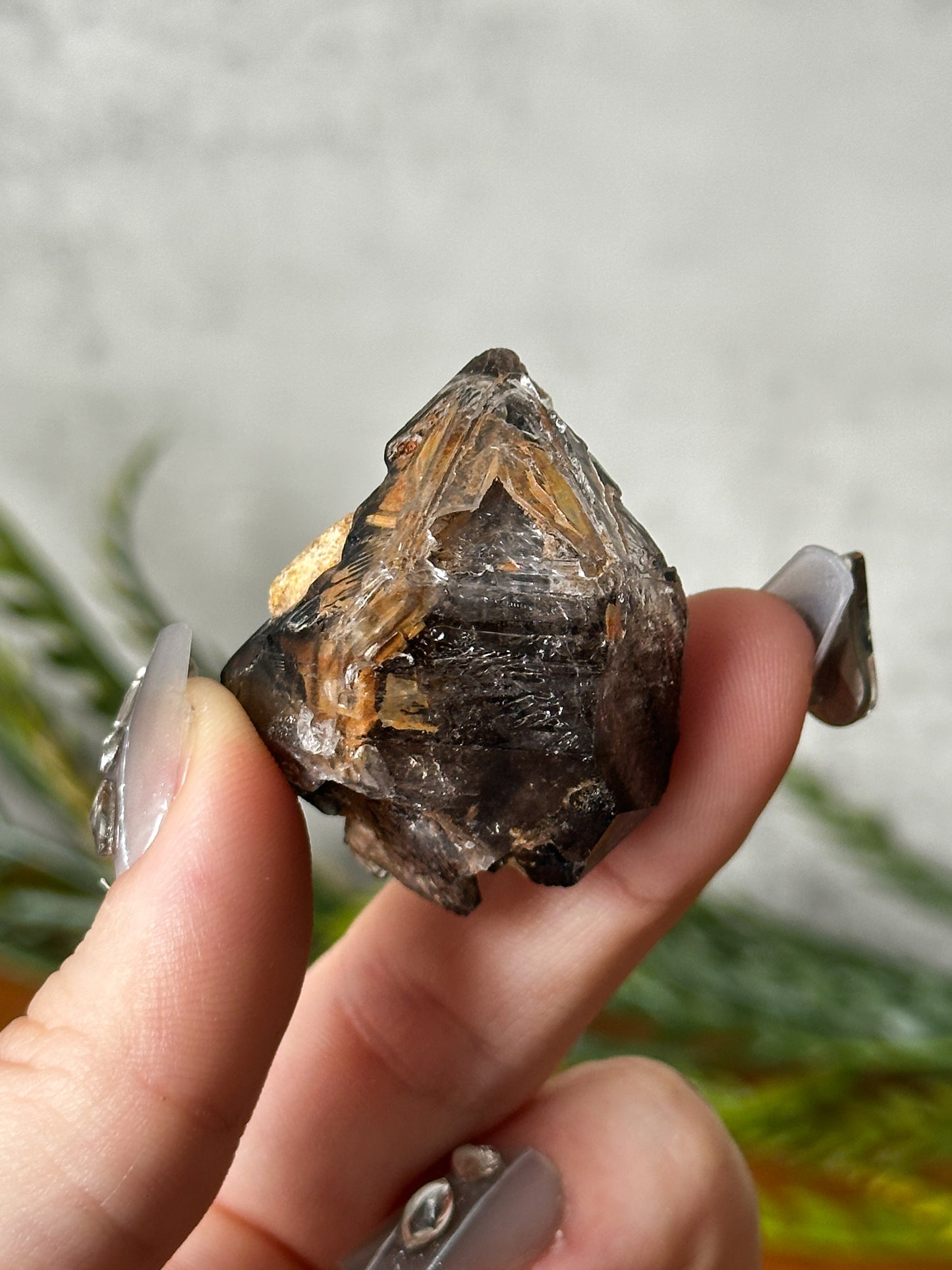 smokey elestial window quartz